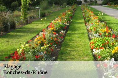 Elagage Bouches-du-Rhône