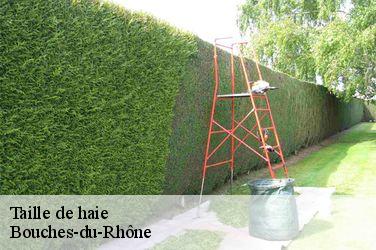 Taille de haie Bouches-du-Rhône