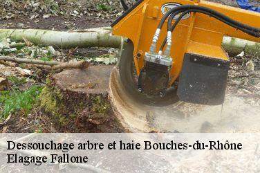 Dessouchage arbre et haie 13 Bouches-du-Rhône  Elagage Fallone