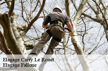 Elagage  carry-le-rouet-13620 Elagage Fallone