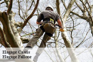 Elagage  cassis-13260 Elagage Fallone