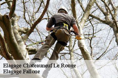 Elagage  chateauneuf-le-rouge-13790 Elagage Fallone