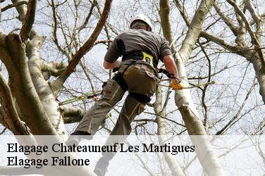 Elagage  chateauneuf-les-martigues-13220 Elagage Fallone