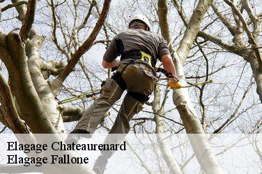 Elagage chateaurenard-13160 Elagage Fallone