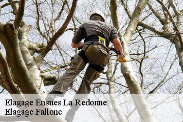 Elagage ensues-la-redonne-13820 Elagage Fallone
