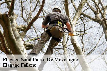 Elagage saint-pierre-de-mezoargue-13150 Elagage Fallone