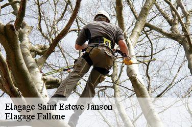 Elagage  saint-esteve-janson-13610 Elagage Fallone