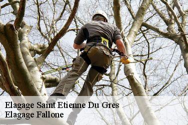 Elagage  saint-etienne-du-gres-13103 Elagage Fallone