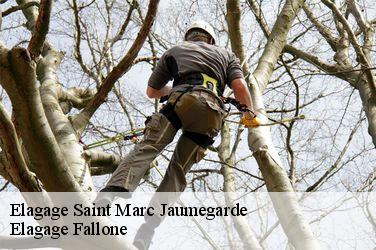 Elagage saint-marc-jaumegarde-13100 Elagage Fallone