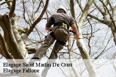 Elagage saint-martin-de-crau-13310