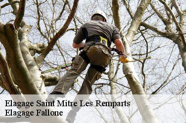Elagage  saint-mitre-les-remparts-13920 Elagage Fallone