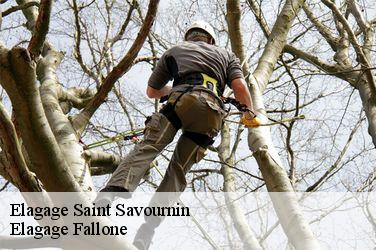 Elagage  saint-savournin-13119 Elagage Fallone