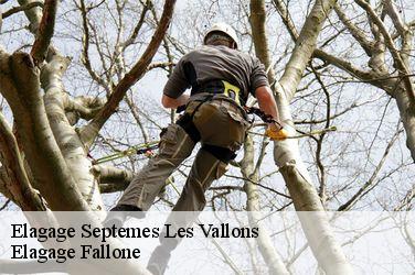 Elagage septemes-les-vallons-13240 Elagage Fallone