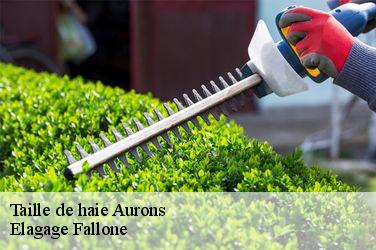 Taille de haie  aurons-13121 Elagage Fallone