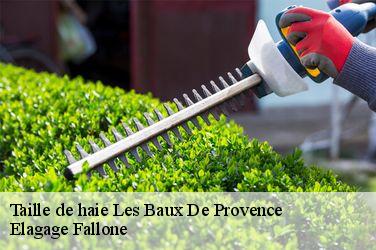 Taille de haie les-baux-de-provence-13520 Elagage Fallone