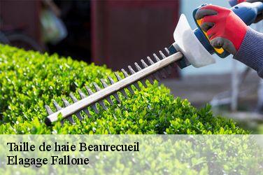 Taille de haie  beaurecueil-13100 Elagage Fallone