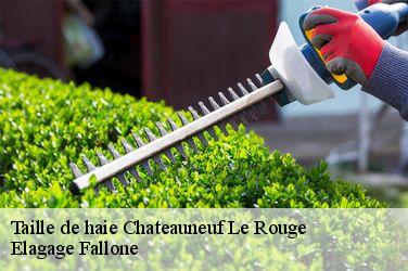 Taille de haie  chateauneuf-le-rouge-13790 Elagage Fallone