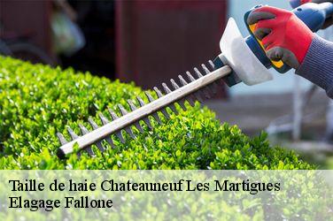 Taille de haie chateauneuf-les-martigues-13220 Elagage Fallone