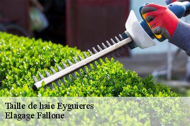 Taille de haie  eyguieres-13430 Elagage Fallone