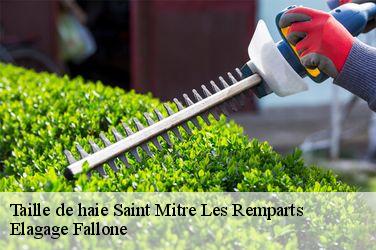Taille de haie  saint-mitre-les-remparts-13920 Elagage Fallone