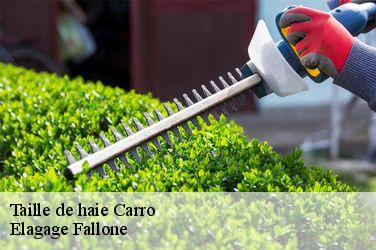 Taille de haie  carro-13500 Elagage Fallone