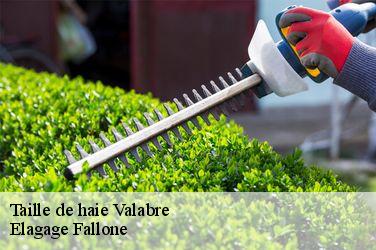 Taille de haie  valabre-13830 Elagage Fallone