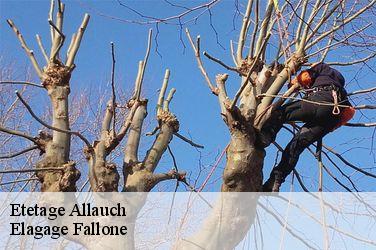 Etetage  allauch-13190 Elagage Fallone