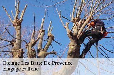 Etetage les-baux-de-provence-13520 Elagage Fallone