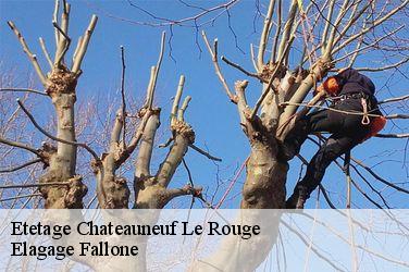 Etetage  chateauneuf-le-rouge-13790 Elagage Fallone