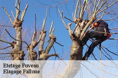 Etetage fuveau-13710