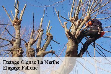 Etetage gignac-la-nerthe-13180 Elagage Fallone