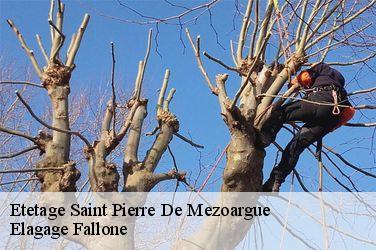 Etetage  saint-pierre-de-mezoargue-13150 Elagage Fallone