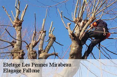Etetage  les-pennes-mirabeau-13170 Elagage Fallone
