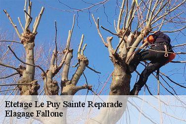 Etetage  le-puy-sainte-reparade-13610 Elagage Fallone