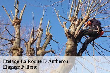 Etetage  la-roque-d-antheron-13640 Elagage Fallone