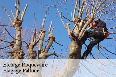Etetage  roquevaire-13360 Elagage Fallone