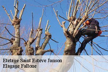 Etetage  saint-esteve-janson-13610 Elagage Fallone