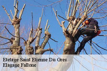 Etetage  saint-etienne-du-gres-13103 Elagage Fallone