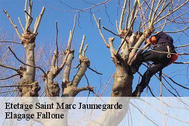 Etetage saint-marc-jaumegarde-13100 Elagage Fallone