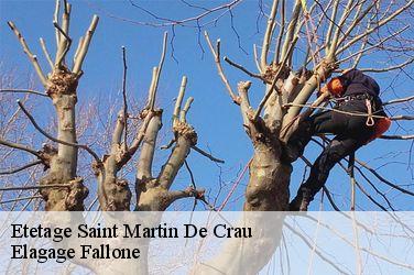 Etetage  saint-martin-de-crau-13310 Elagage Fallone