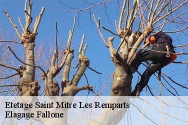 Etetage saint-mitre-les-remparts-13920 Elagage Fallone