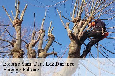 Etetage  saint-paul-lez-durance-13115 Elagage Fallone