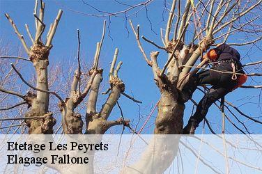 Etetage  les-peyrets-13220 Elagage Fallone