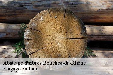 Abattage d'arbres 13 Bouches-du-Rhône Elagage Fallone