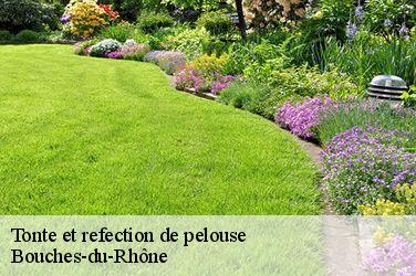 Tonte et refection de pelouse Bouches-du-Rhône 