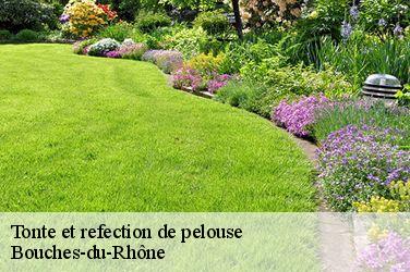 Tonte et refection de pelouse Bouches-du-Rhône