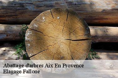 Abattage d'arbres  aix-en-provence-13090 Elagage Fallone