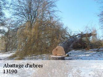 Abattage d'arbres  13190