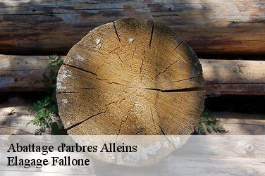 Abattage d'arbres alleins-13980 Elagage Fallone