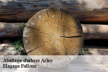 Abattage d'arbres  arles-13200 Elagage Fallone